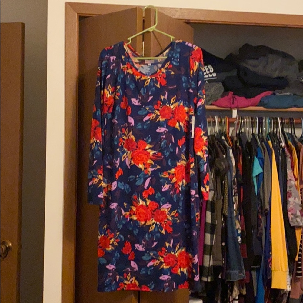Lularoe Julia dress size XL